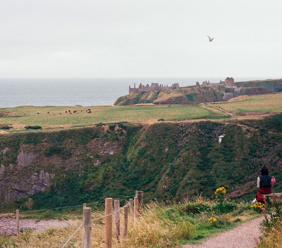 What To Do In Aberdeen: Explore Scottish Nature Trails And Walks