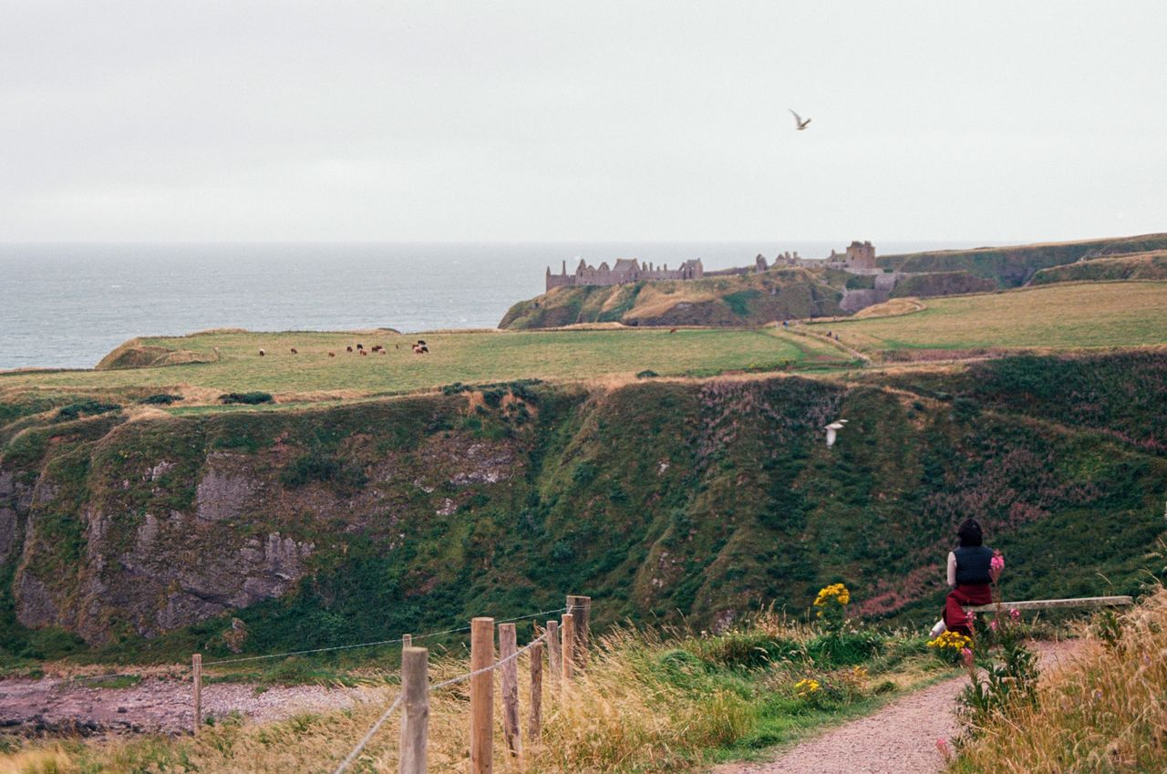 What To Do In Aberdeen: Explore Scottish Nature Trails And Walks