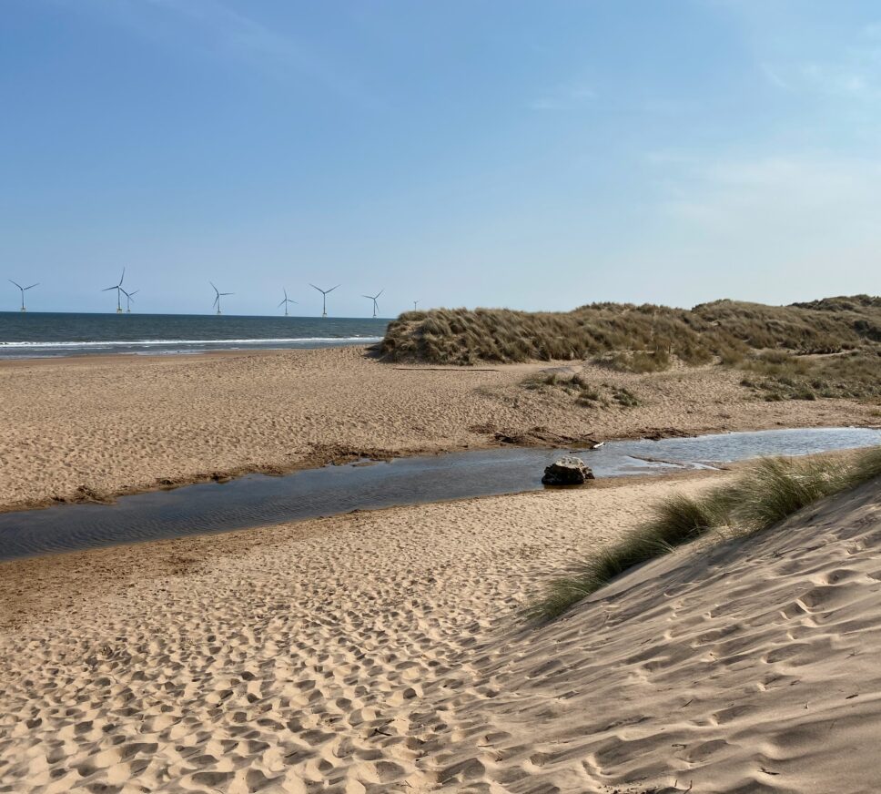Discover Aberdeen Beach: Everything You Need To Know
